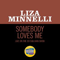 Přední strana obalu CD Somebody Loves Me [Live On The Ed Sullivan Show, April 21, 1963]