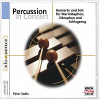 Přední strana obalu CD Peter Sadlo: Percussion in Concert