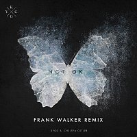 Kygo & Chelsea Cutler – Not Ok (Frank Walker Remix)
