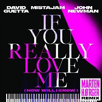 David Guetta x MistaJam x John Newman – If You Really Love Me (How Will I Know) [Marten Horger Remix]