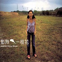 Přední strana obalu CD A Flower