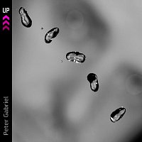 Peter Gabriel – Up