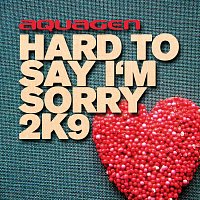 Přední strana obalu CD Hard To Say I'm Sorry 2K9