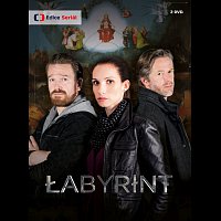 Různí interpreti – Labyrint DVD