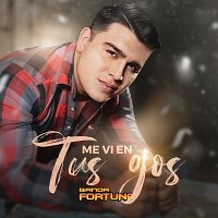 Banda Fortuna – Me Vi En Tus Ojos