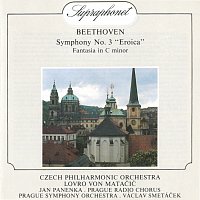 Přední strana obalu CD Beethoven: Symfonie č. 3 Es dur, Eroica, Fantazie c moll