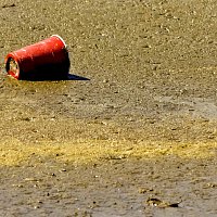 Parking Lot Party – Parking Lot Party