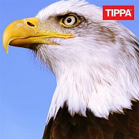 TIPPA – Satutat mua