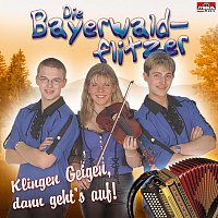 Die Bayerwaldflitzer – Klingen Geigen, dann geht's auf!