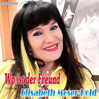 Přední strana obalu CD Wo ist der Freund