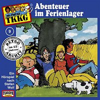 TKKG Retro-Archiv – 009/Abenteuer im Ferienlager