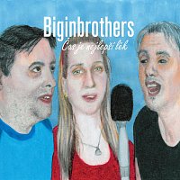Biginbrothers – Čas je nejlepší lék MP3