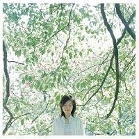 Amin – Under The Same Sky