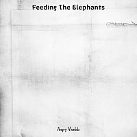 Přední strana obalu CD Feeding the Elephants