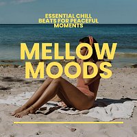 Connor LeBlanc, Arabella Sky, Forest Thomas, Tanya Orr, Indigo Water, Jonjo Rivers – Mellow Moods: Essential Chill Beats for Peaceful Moments