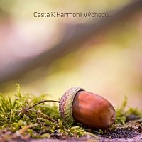 Přední strana obalu CD Cesta K Harmonii Východu