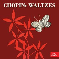 Fryderyk Chopin, František Rauch – Chopin: Valčíky