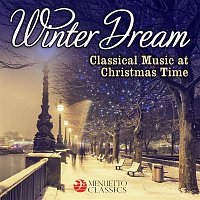 Přední strana obalu CD Winter Dream - Classical Music at Christmas Time