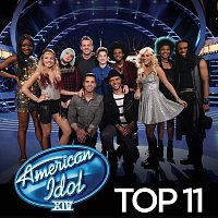 Různí interpreti – American Idol Top 11 Season 14