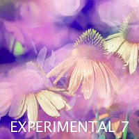 Sandro – Experimental 7