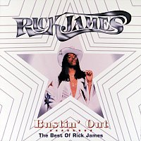 Přední strana obalu CD Bustin' Out: The Best Of Rick James