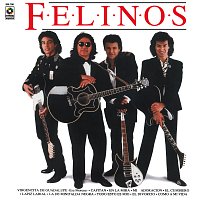 Los Felinos – Felinos