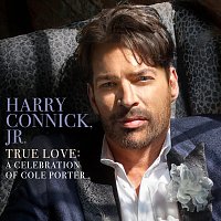 Harry Connick Jr. – True Love: A Celebration Of Cole Porter CD