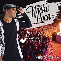 Joel Sound – Una Noche Loca (Reggaetón) (SALSA FUSIÓN)