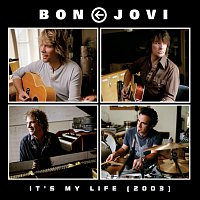 Bon Jovi – It's My Life (2003)