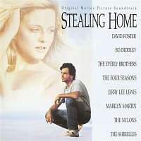 Various  Artists – Stealing Home