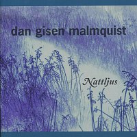 Dan Gisen Malmquist – Nattljus