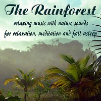 Nature Sounds with relaxing music – The Rainforest, relaxing music with nature sounds for relaxation, meditation and fall asleep