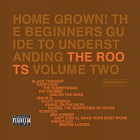 The Roots – Home Grown! The Beginner's Guide To Understanding The Roots Volume 2