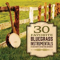 Přední strana obalu CD 30 Favorite Bluegrass Instrumentals