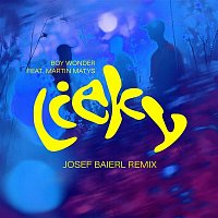 Boy Wonder – Lieky (Josef Baierl Remix)