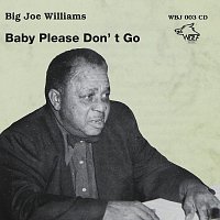 Big Joe Williams - Baby Please Don´t Go