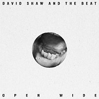 David Shaw And The Beat – Open Wide