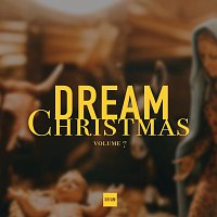 Různí interpreti – DREAM Christmas Vol. 7