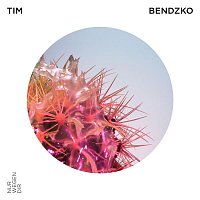 Tim Bendzko – Nur wegen dir