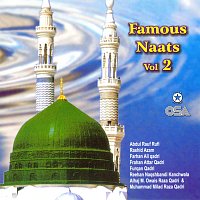 Různí interpreti – Famous Naats, Vol. 2