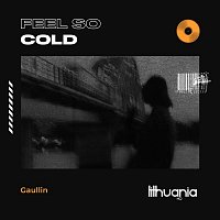 Přední strana obalu CD Feel so Cold