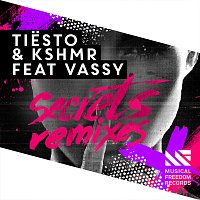 Tiësto, KSHMR, VASSY – Secrets [Remixes]