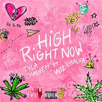 High Right Now (Remix)