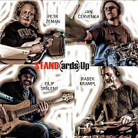 STAND(ards)Up – STAND(ards)Up MP3