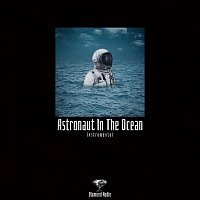 Diamond Audio – Astronaut in the Ocean (Instrumental)