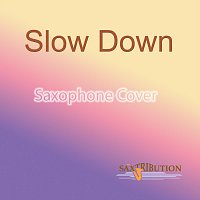 Saxtribution – Slow Down (Saxophone Cover)