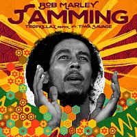 Bob Marley & The Wailers, Tiwa Savage, Tropkillaz – Jamming [Tropkillaz Remix]