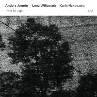 Lena Willemark, Karin Nakagawa, Anders Jormin – Trees Of Light
