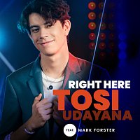 Tosi Udayana, Mark Forster – RIGHT HERE [From The Voice Of Germany]