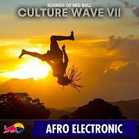 Sounds of Red Bull – Culture Wave VII